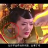 44531金光佛论坛